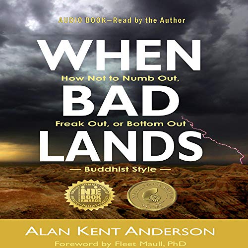 Cover of When Bad Lands