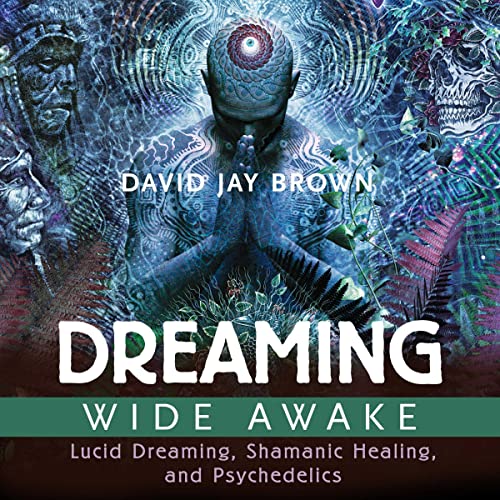 Cover of Dreaming Wide Awake