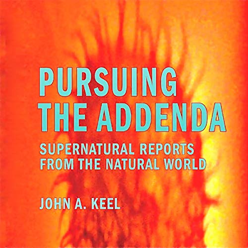 Cover of Pursuing the Addenda