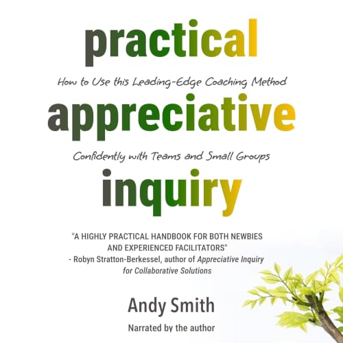 Cover of Practical Appreciative Inquiry