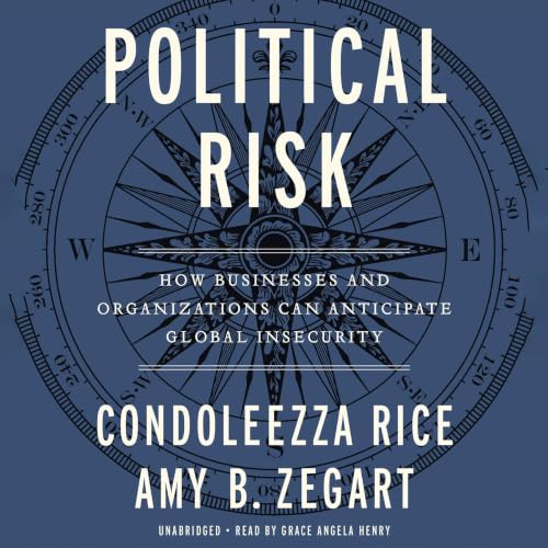 Cover of Political Risk