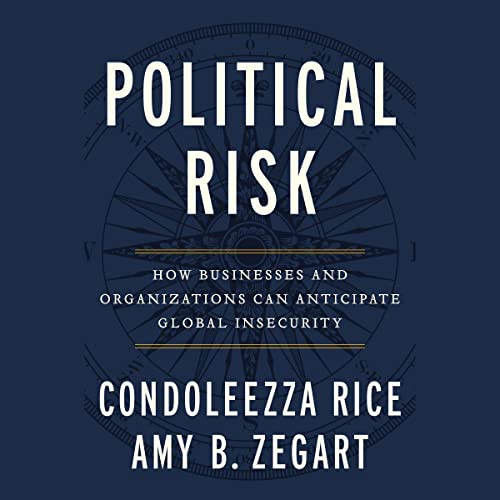Cover of Political Risk