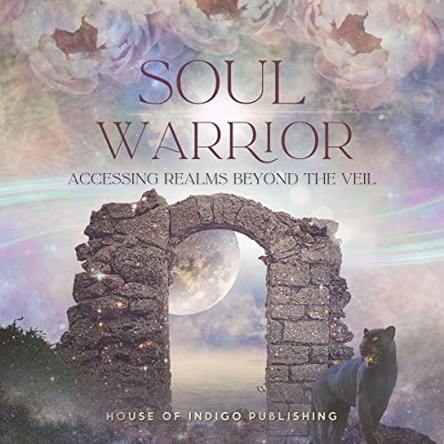 Cover of Soul Warrior