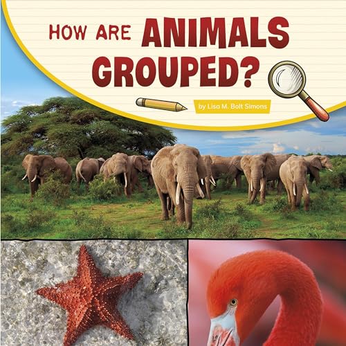 Cover of How Are Animals Grouped?