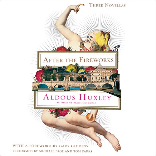 Cover of After the Fireworks