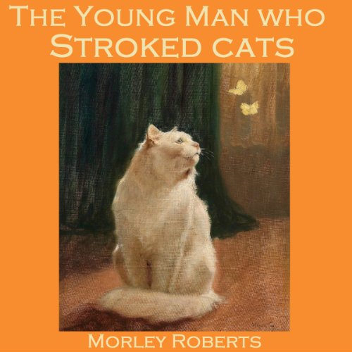 Cover of The Young Man Who Stroked Cats