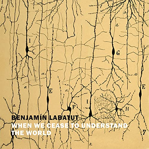 Cover of When We Cease to Understand the World
