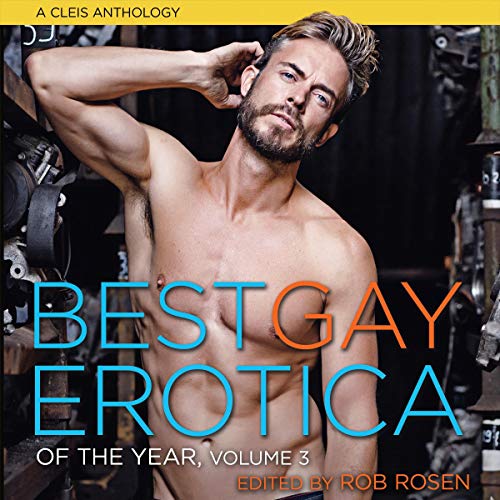 Cover of Best Gay Erotica of the Year, Volume 3