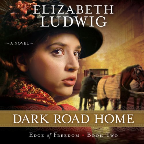 Cover of Dark Road Home