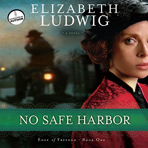 Cover of No Safe Harbor