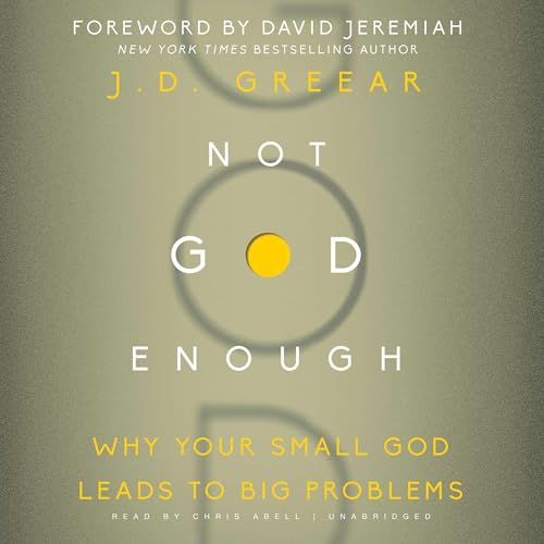 Cover of Not God Enough