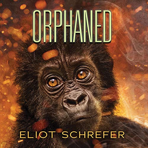 Cover of Orphaned