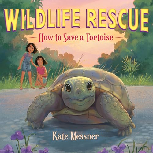 Cover of How to Save a Tortoise