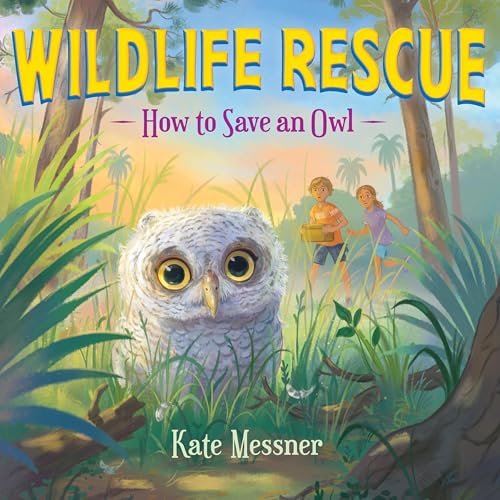 Cover of How to Save an Owl