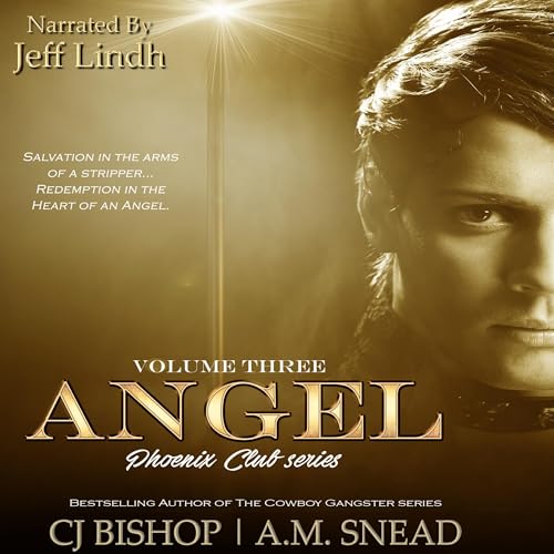 Cover of Angel