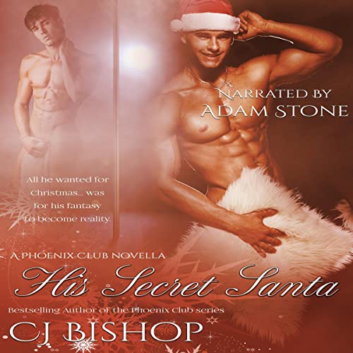 Cover of His Secret Santa