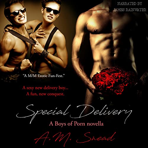 Cover of Special Delivery