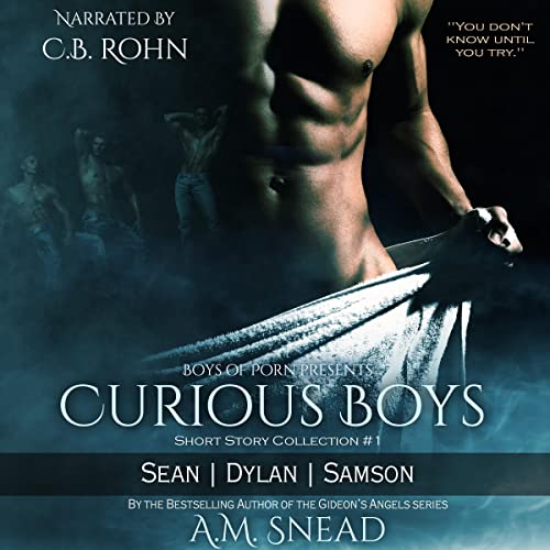 Cover of Curious Boys