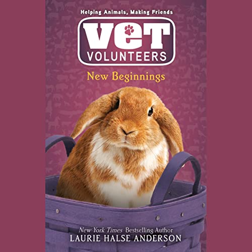 Cover of New Beginnings