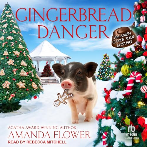 Cover of Gingerbread Danger
