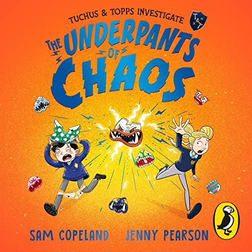 Cover of The Underpants of Chaos