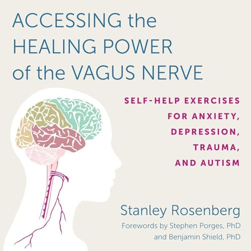 Cover of Accessing the Healing Power of the Vagus Nerve