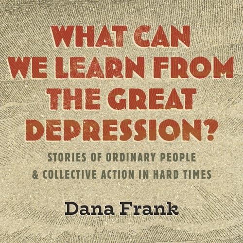 Cover of What Can We Learn from the Great Depression?