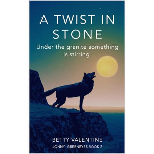 Cover of A Twist in Stone