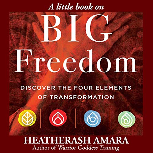 Cover of A Little Book on Big Freedom