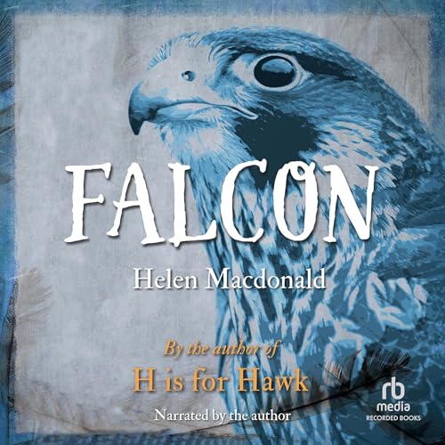 Cover of Falcon