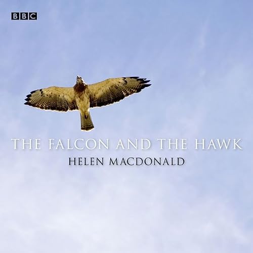 Cover of Falcon And The Hawk, The