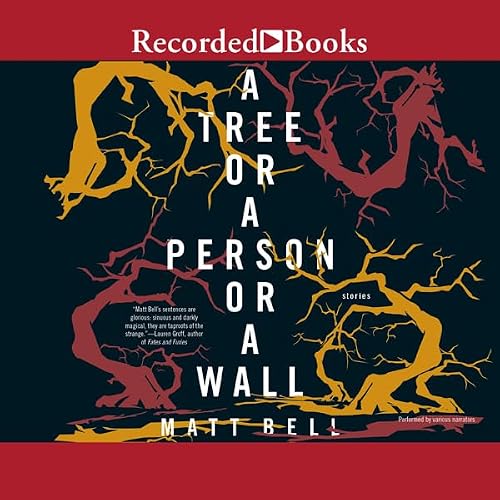 Cover of A Tree or a Person or a Wall