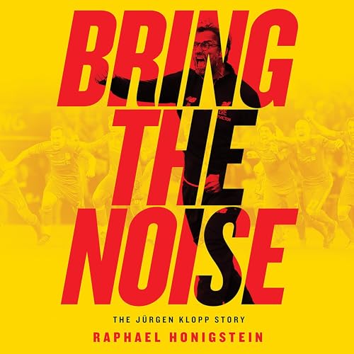Cover of Bring the Noise
