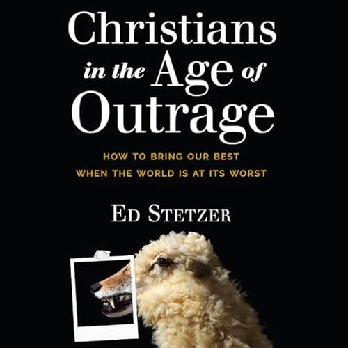 Cover of Christians in the Age of Outrage