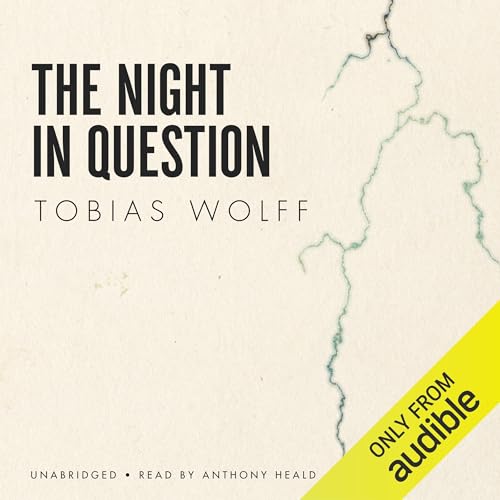 Cover of The Night in Question