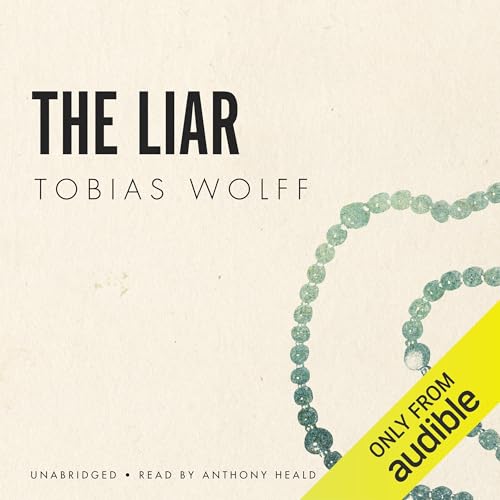 Cover of The Liar