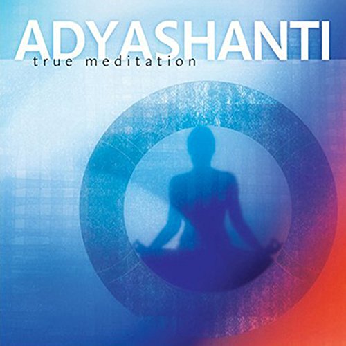 Cover of True Meditation