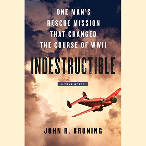 Cover of Indestructible
