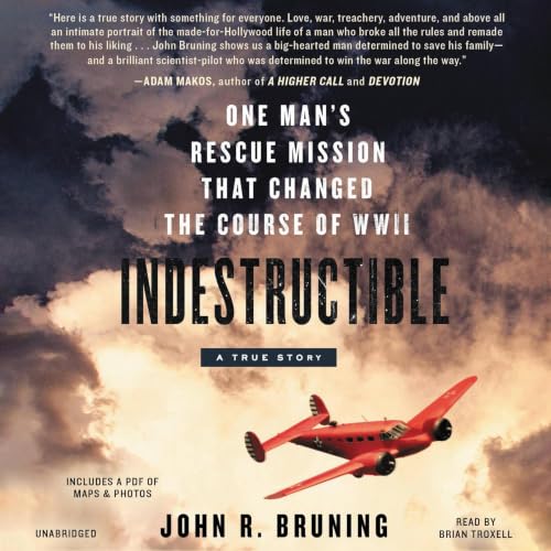 Cover of Indestructible