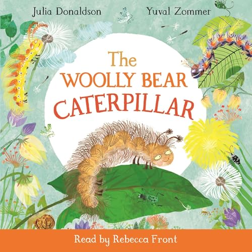 Cover of The Woolly Bear Caterpillar
