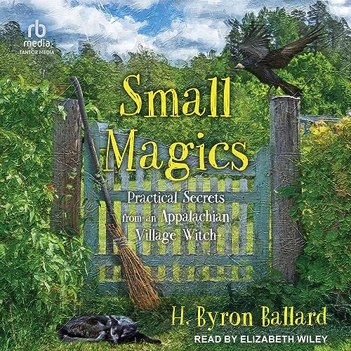 Cover of Small Magics