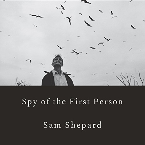 Cover of Spy of the First Person