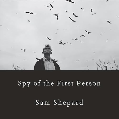 Cover of Spy of the First Person