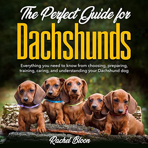 Cover of The Perfect Guide for Dachshunds