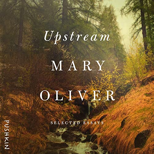 Cover of Upstream