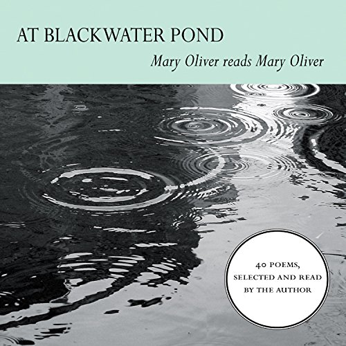 Cover of At Blackwater Pond