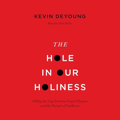 Cover of The Hole in Our Holiness
