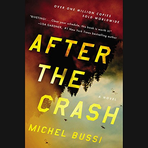 Cover of After the Crash