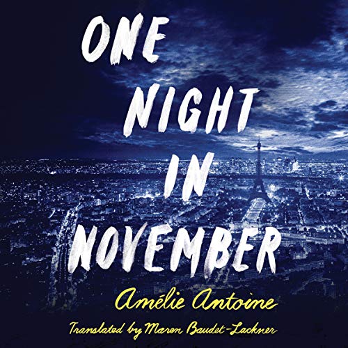 Cover of One Night in November