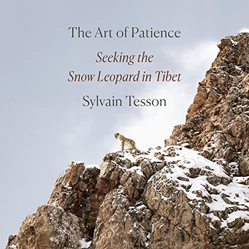 Cover of The Art of Patience